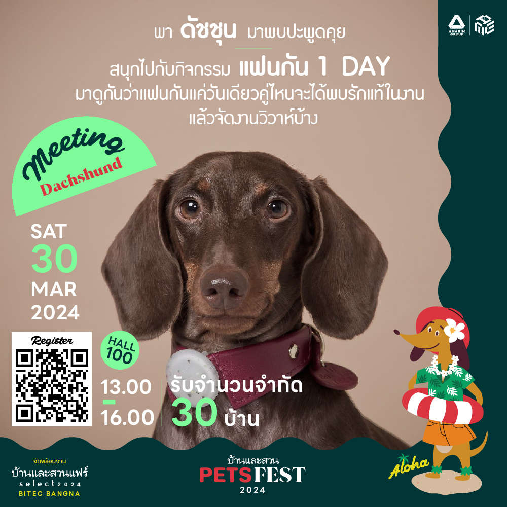 07_pets_fest_2024__meeting_french.jpg