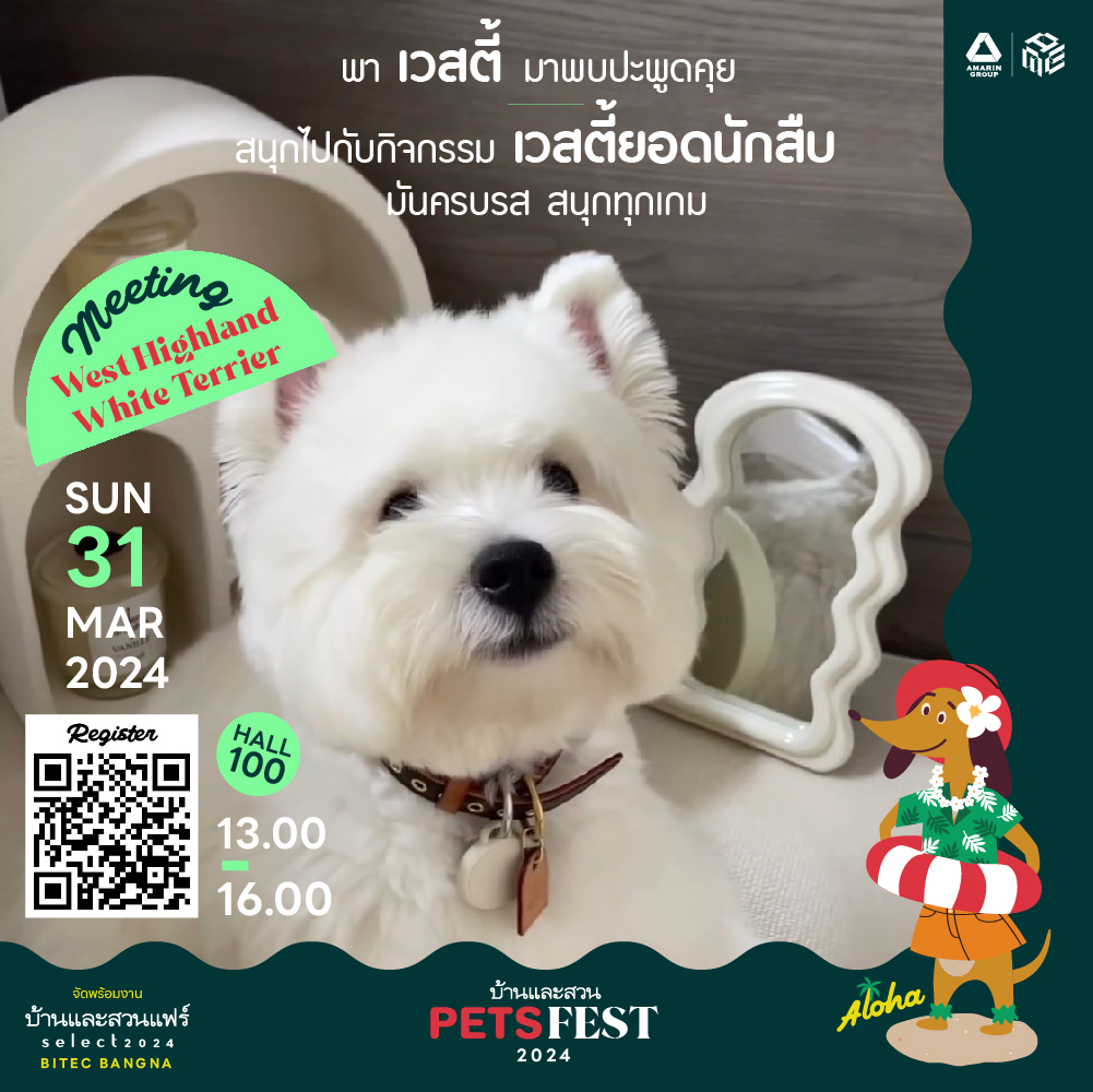07_pets_fest_2024__meeting_westie.jpg