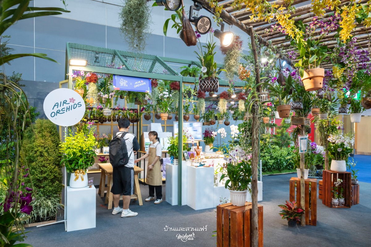 AIR ORCHIDS