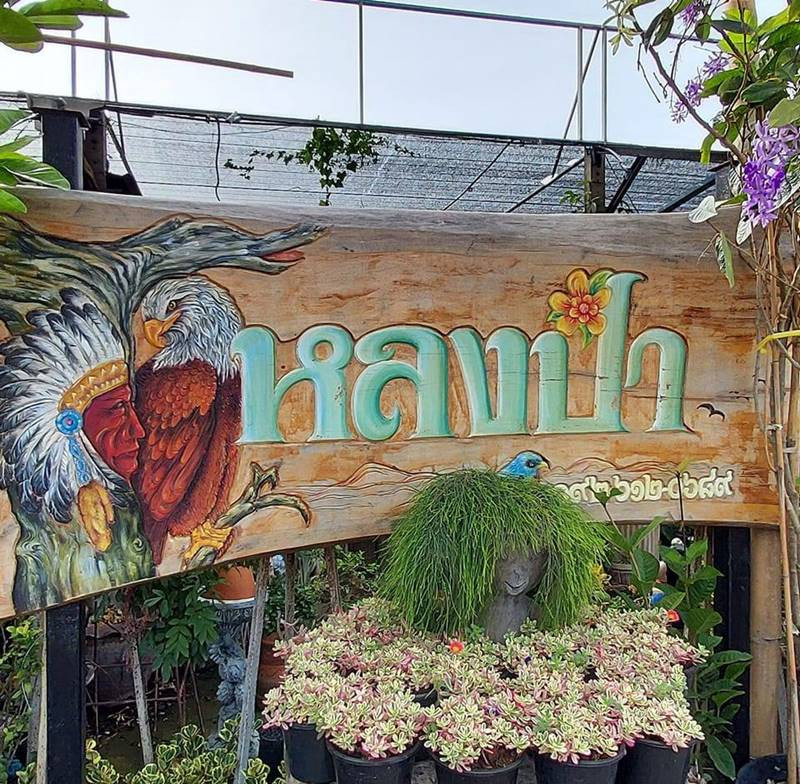 ร้าน หลงป่า