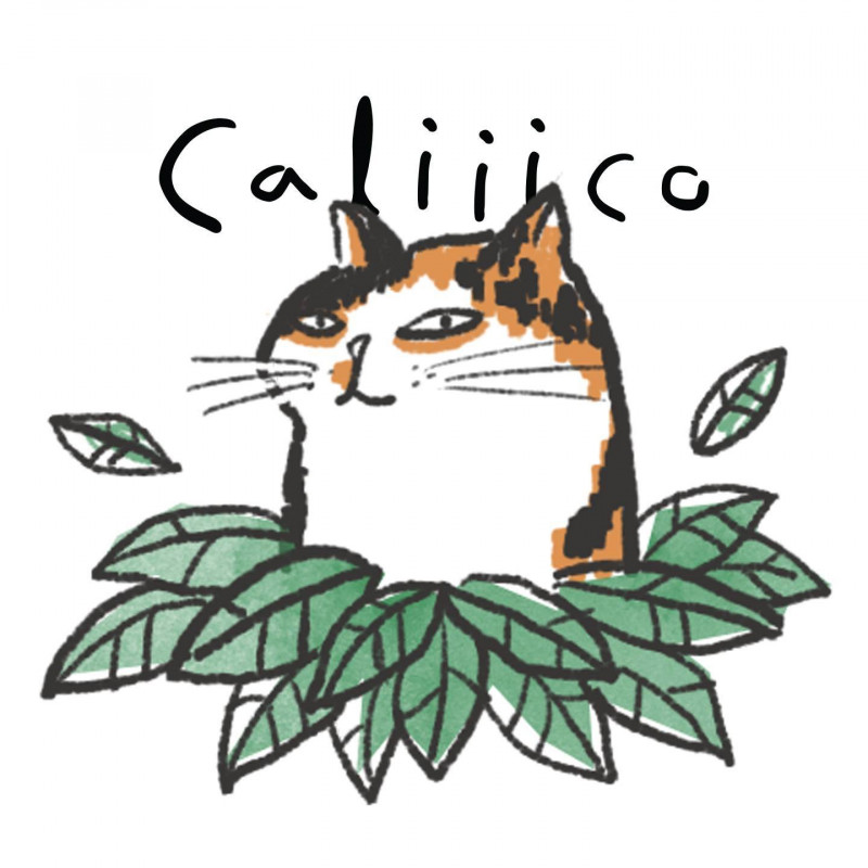 ร้าน Caliiico คาลิโก้