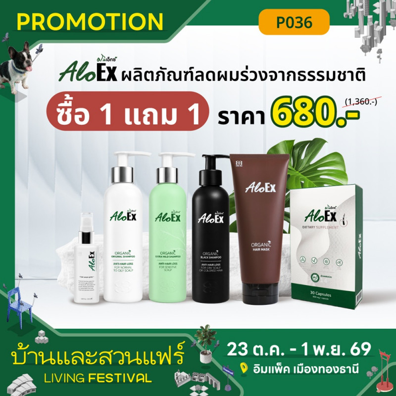 aloex_1_1.jpg