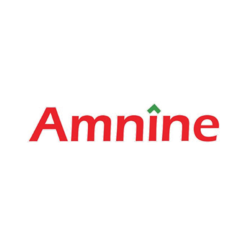 AMNINE