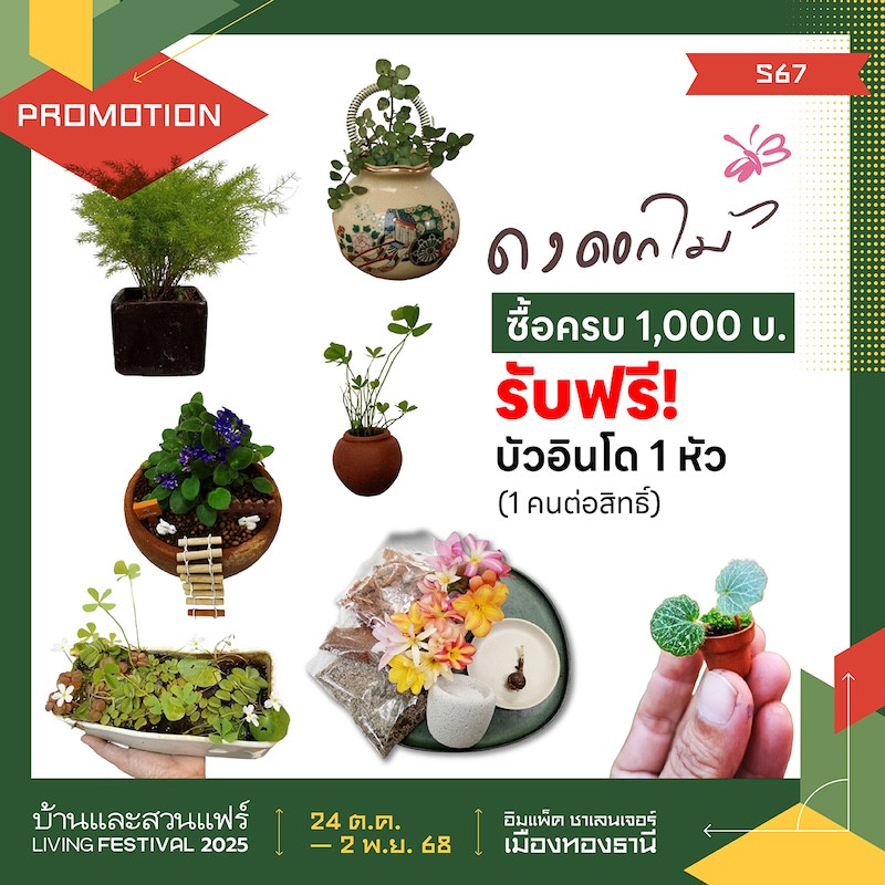 ซื้อครบ 1,000 บ. รับฟรี! บัวอินโด