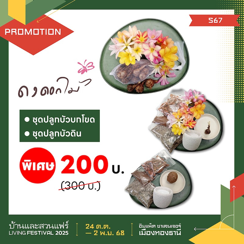 ชุดปลูกราคาพิเศษ