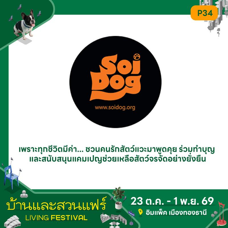 soi-dog_2.jpg